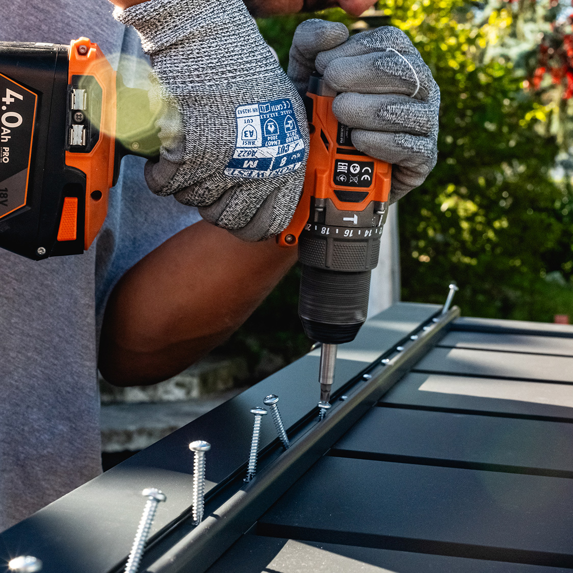 Ανακαλύψτε τον Καζανόβ